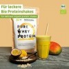 Protéine Whey BIO Mangue [dAllemagne] sans soja - Shakes protéinés de haute qualité"certifié biologique" 600g de poudre de p