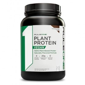 Plant Protein, Chocolate Fudge - 580g