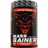 MASS GAINER VITASTRONG - 30% Whey Protein, Cluster Dextrin™, 3g Creatine Monohydrate Poudre - Gainer Prise de Masse Musculair