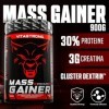 MASS GAINER VITASTRONG - 30% Whey Protein, Cluster Dextrin™, 3g Creatine Monohydrate Poudre - Gainer Prise de Masse Musculair
