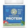 SUNWARRIOR Blend Protéine Naturelle 3.0 375 g 1 Unité