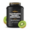 BIGMAN | ULTIMATE WHEY KIWI 2KG | PROTÉINE CONCENTRÉE DE QUALITÉ | BCAA ET GLUTAMNINE | GRAND PROFIANCE MUSCULAIRE | RÉCUPÉ