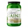 Ultimate Nutrition Natural Gainz Whey Protein Powder - Natural Gainer Protein with Micellar Casein and Milk Protein, Vanilla,