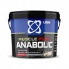 USN Muscle Fuel Anabolic Cookies et Crème Tout-en-un Shake de Protéines en Poudre 4kg : Poudre protéinée anabolique pour la