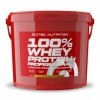 Scitec Nutrition 100% Whey Protein Professional avec des acides-aminés clés et des enzymes digestives, sans gluten, 5 kg, Cit