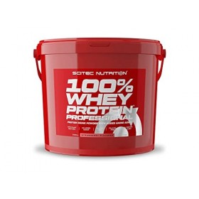 Scitec Nutrition | 100% Whey Professional 5kg | Whey protéine | Whey Proteine Ultrafiltrée