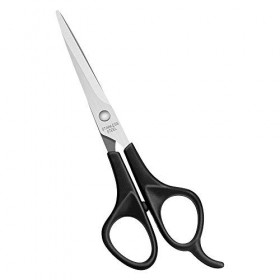 Asdirne Ciseaux de Coiffeur, ciseaux cheveux de Salon Professionnel avec Tige en Acier Inoxy de Qualité Manche en ABS, 6 ", N