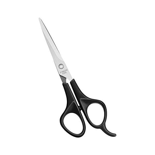 Asdirne Ciseaux de Coiffeur, ciseaux cheveux de Salon Professionnel avec Tige en Acier Inoxy de Qualité Manche en ABS, 6 ", N