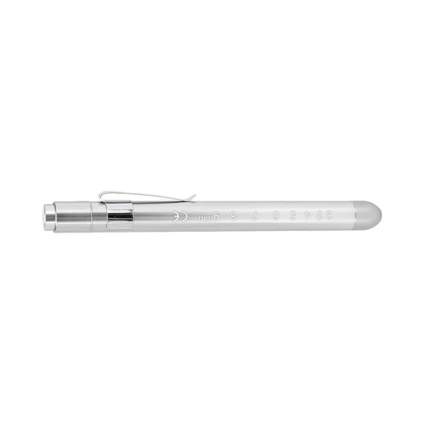 DAUZ Lampe de Stylo, Ampoule LED en Résine à échelle Graduée, Lumière Blanche pour étudiant SILVER 