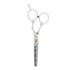 Cisaillement Professionnel Coupe De Cheveux Ciseaux Thining Salon Barber Hairdressing Shear 01 ,Soins Des Cheveux Et Coiffag