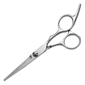 CUHZA 1 Pièces Ciseaux de Coiffure, Ciseaux Coiffure Professionnels en Acier Inoxydable, Ciseaux Barber Salon Argent 