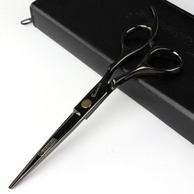 Studio Professionnel de coiffure de la coiffure Cheveux Ciseaux et ciseaux à effiler 6 pouces équipement de coiffure en acier