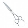 GUNST Ciseaux Coiffure Professionnel 6 Pouce,Argent Pour Coiffeur Droitier,Barber Scissors