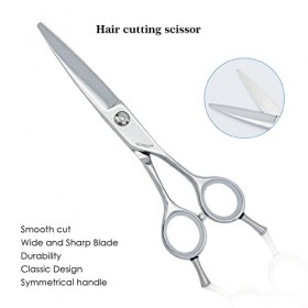 GUNST Ciseaux Coiffure Professionnel 6 Pouce,Argent Pour Coiffeur Droitier,Barber Scissors