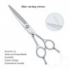 GUNST Ciseaux Coiffure Professionnel 6 Pouce,Argent Pour Coiffeur Droitier,Barber Scissors