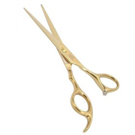 Ciseaux de Barbier Professionnels, Types Incisifs en Acier Inoxydable à Poignée Incurvée pour Salon de Coiffure pour les Type