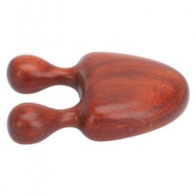 Grattoir de Massage du Nez en Bois de Rose, 2 Pièces, Double Tête, Acupression Guasha, Outil de Massage pour les Oreilles et 