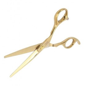 Ciseaux de Coiffeur Professionnels, Ciseaux de Coupe de Cheveux pour Salon de Coiffure pour les Cheveux pour Salon de Coiffur