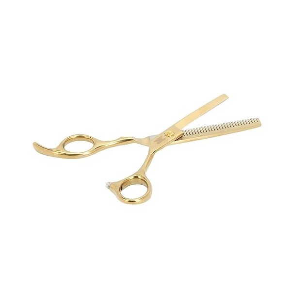 Ciseaux de Coupe de Cheveux, Ergonomiques pour Coiffeur pour Salon de Coiffure pour Coiffeur pour Salon de Coiffure