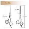 DuEgg Ciseaux de Coiffure 2 Pcs, Ciseaux Coiffure Set Flat Ciseaux et des Ciseaux Crantès, Ciseaux Coiffure Professionnel Poi