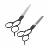 FOMIYES 2 Pièces 6 Ciseaux De Coiffure Ciseaux De Coupe De Cheveux De Coiffeur Ciseaux De Mélange De Bord Ciseaux De Coiffeur