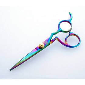 Washi Ergonomique Professionnels Ciseaux Cheveux, le titane, 14 cm, et Présentation de Cas.