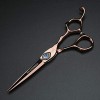 Ciseaux de coiffure professionnels - 15,2 cm - Or rose - Pour homme et femme ciseaux de coupe 