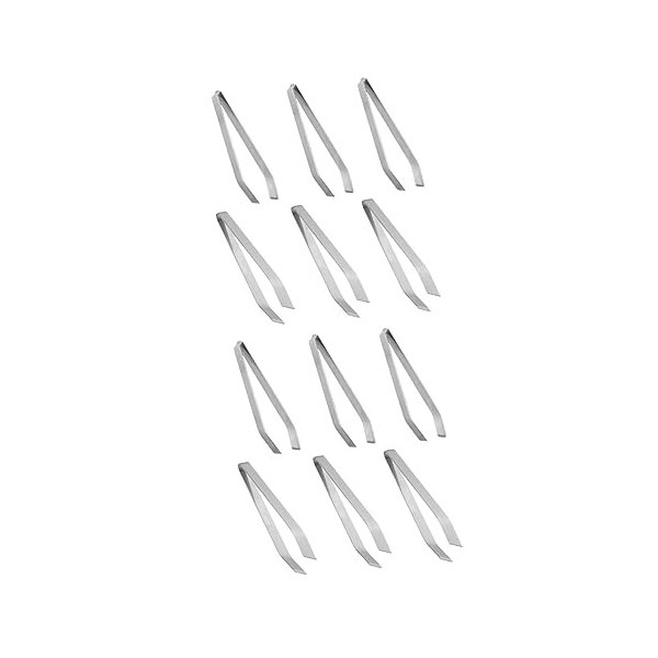POPETPOP 6 Pièces Pince À Épiler En Os De Poisson Pince À Épiler Alimentaire Pour Épilation Pince À Épiler En Acier Inoxydabl