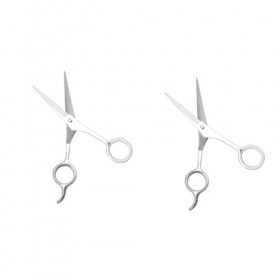 FOMIYES 2 Pièces Tondeuses De Barbier Professionnelles Tondeuses Professionnelles Pour Barbiers Ciseaux De Coiffure Outils De