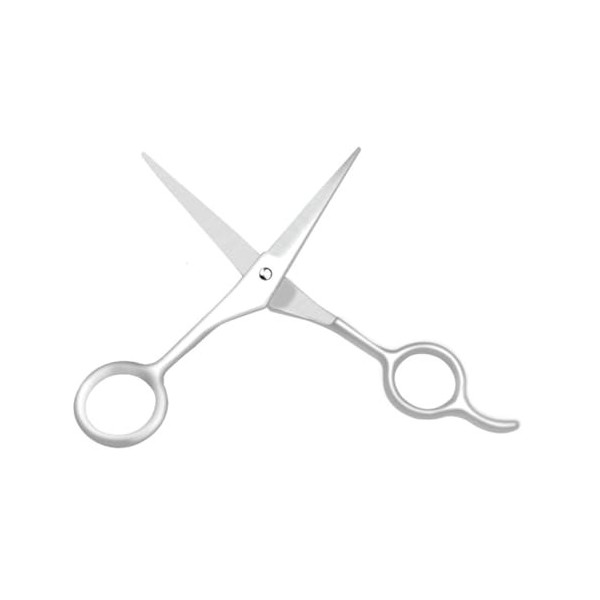 FRCOLOR 2 Pièces Tondeuses De Barbier Professionnelles Tondeuses Professionnelles Pour Barbiers Rasoir À Barbe Ciseaux À Barb