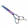 FOMIYES 1 Pièces Coupe-Cheveux Accessoires De Barbier Ciseaux De Coiffure Outils De Coiffure Ciseaux À Dents Ensemble Nacré