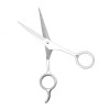 POPETPOP 2 Pièces Ciseaux Coupe Droite Ciseaux Barbe Rasoir Barbe Ciseaux Coupe Salon De Coiffure Ciseaux De Coiffure Cheveux