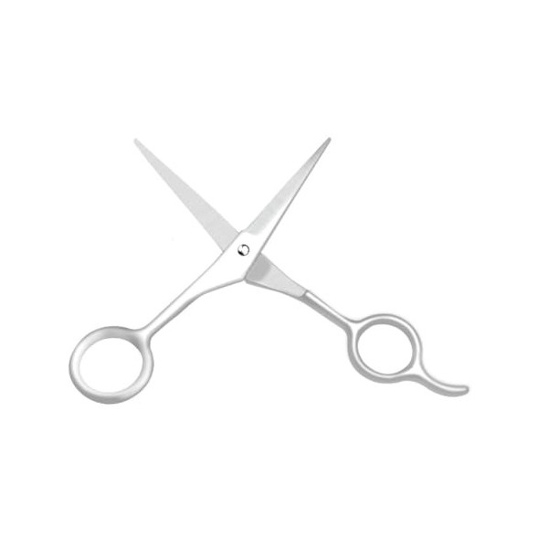 FRCOLOR 2 Pièces Tondeuses De Barbier Professionnelles Rasoir À Barbe Rasoir À Barbe Ciseaux À Barbe Tondeuses Professionnell