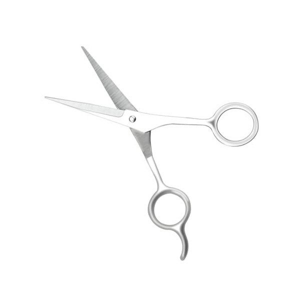 POPETPOP 2 Pièces Rasoir À Barbe Rasoir À Barbe Tondeuses Professionnelles Pour Barbiers Ciseaux À Barbe Tondeuses De Barbier