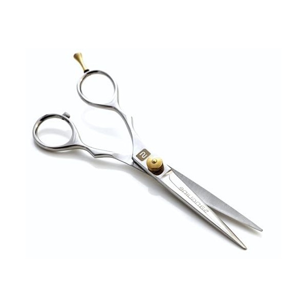 Left Handed Hair Scissors, Left Hand Hair Cutting, Hairdressing and Barber Shears, 6 inch - Presentation Case…