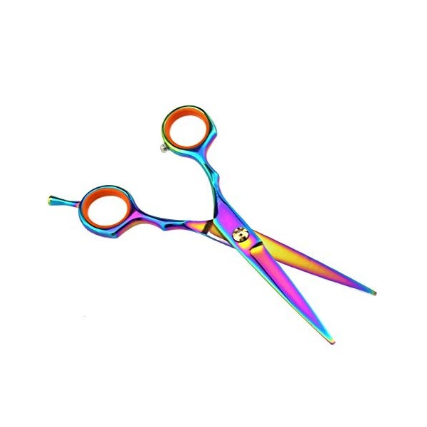 2pcs 5.5" Ciseaux de Coiffure Salon Ciseaux Amincissants Coiffeur outils