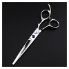 Ciseaux pour coupe de cheveux Ciseaux de barbier de 6 pouces, outils de coiffure, ciseaux de coiffure, ciseaux de coiffure de