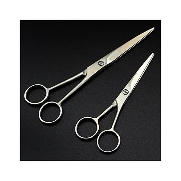 Ciseaux pour coupe de cheveux, petits ciseaux de coiffure de 5/6 pouces, ciseaux de coiffure, coiffeur de style sourcils, cis