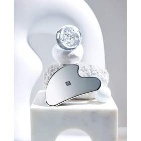 TWEEZERMAN Brucelles avec pointe de précision en acier inoxydable, Noir