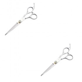 minkissy 2 Pièces Ciseaux À Dents Cisaille À Cheveux Ciseaux En Acier Inoxydable Ciseaux De Coiffure Ciseaux Droits Coupe De 