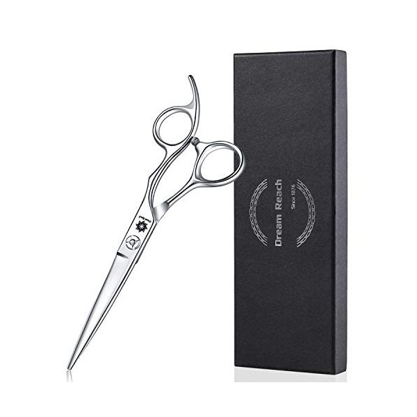Dream Reach Ciseaux de coupe de cheveux professionnels en acier 440 C japonais pour homme et femme Coupe de salon de coiffure...