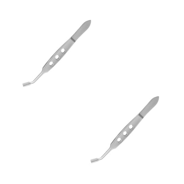 FRCOLOR 2 Pièces Pince De Massage Des Glandes De Meibomius Pince À Cils Courbée Des Paupières Mini Pince À Épiler Dissolvant