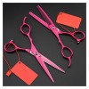 Ciseaux pour coupe de cheveux Ciseaux de coiffure roses de 6 pouces, outils de coupe de barbier, ciseaux amincissants, kit de