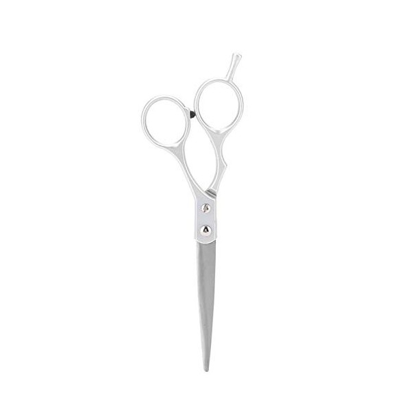 XENITE Coupe de cheveux professionnelle, Set Salon Barber Hair Shear Thining Ciseaux réguliers Matériau en acier inoxydable D