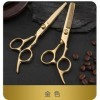 EVANEM Kit de ciseaux de coupe de cheveux, ensemble de ciseaux de coiffure professionnels for hommes, femmes, animaux domesti