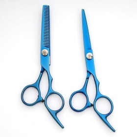 EVANEM Kit de ciseaux de coupe de cheveux professionnels avec ciseaux de coupe, ciseaux de coupe de cheveux, ciseaux à effile