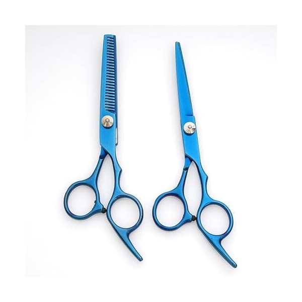 EVANEM Kit de ciseaux de coupe de cheveux professionnels avec ciseaux de coupe, ciseaux de coupe de cheveux, ciseaux à effile