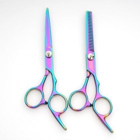 EVANEM Ensemble de ciseaux de coupe de cheveux, kit de ciseaux de coupe de cheveux professionnels avec ciseaux de coupe, cise