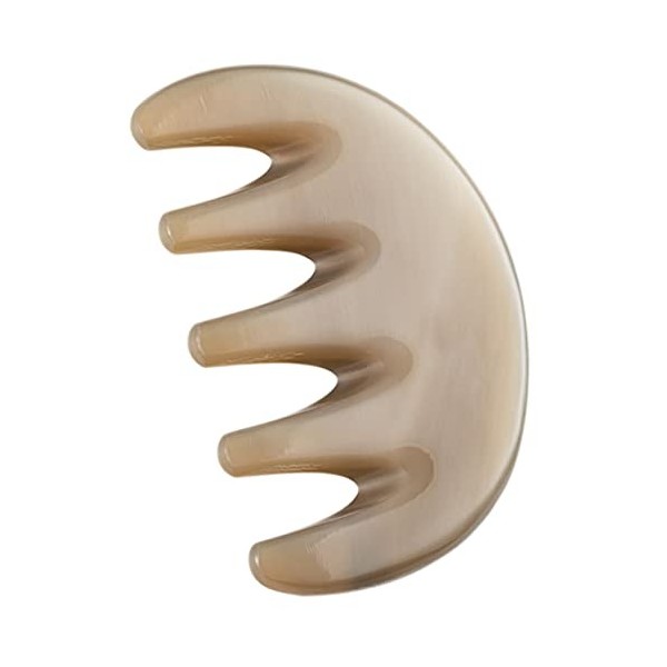 FRCOLOR 5Pcs Peigne De Massage À Cinq Dents Outil Facial Outils À Main Masseurs De Cuir Chevelu Manuels Peigne À Cheveux Guas