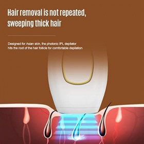 DINESA 5-Level- Bikinis Pulses Épilateur Épilateur Facial Tondeuse Électrique Noir EU Plug